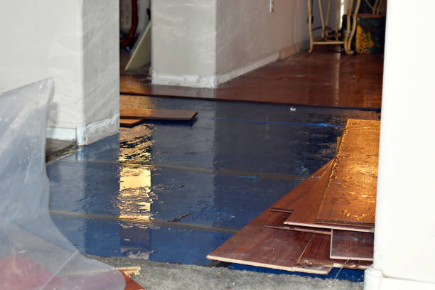 Professional Burst Pipe Cleanup technician working in Waldron, MI